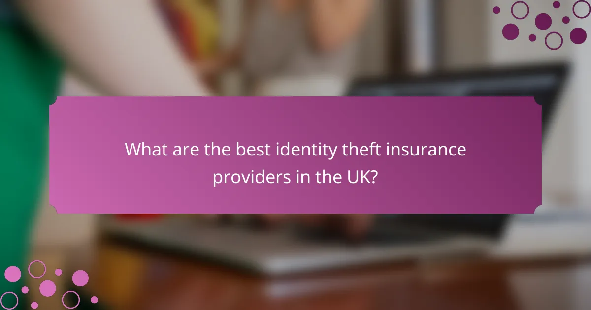 What are the best identity theft insurance providers in the UK?