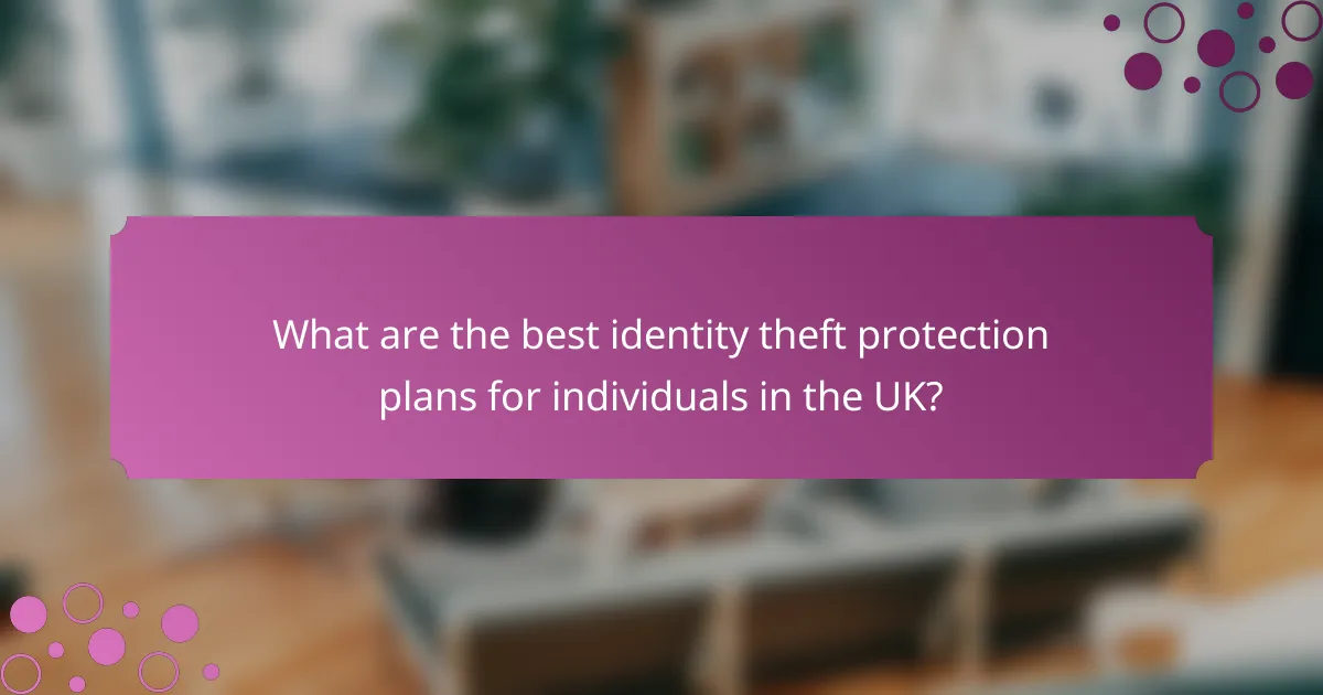 What are the best identity theft protection plans for individuals in the UK?